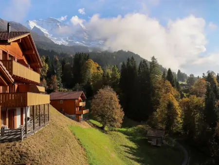 Racer's Retreat Apt.12, Appartement 8 personnes à Wengen - Photo 44