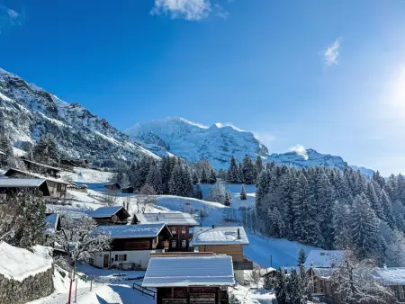 Racer's Retreat Apt.12, Appartement 8 personnes à Wengen - Photo 52