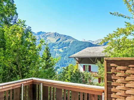 Schweizerhof Apt. S, Appartement 4 personnes à Wengen - Photo 21