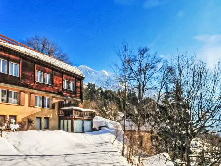 Schweizerhof Apt. S, Appartement 4 personnes à Wengen - Photo 31