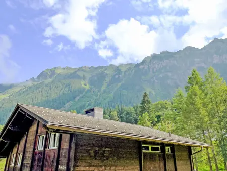 Zur Linde Apt.W, Appartement 4 personnes à Wengen - Photo 10