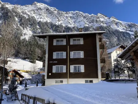 Zur Linde Apt.W, Appartement 4 personnes à Wengen - Photo 12