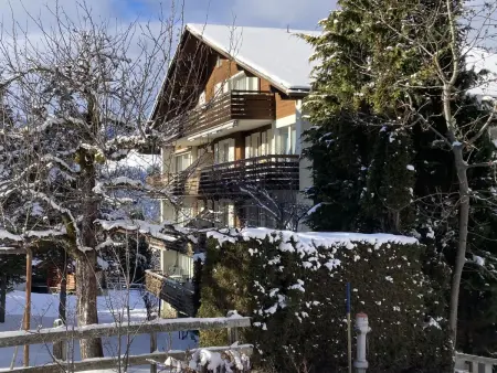Zur Linde Apt.W, Appartement 4 personnes à Wengen - Photo 13