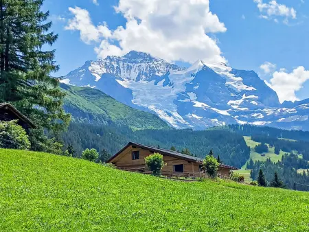 Mioche, Chalet 6 personnes à Wengen - Photo 33