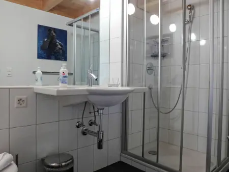 Roossi Apt. 1, Appartement 6 personnes à Wengen - Photo 20