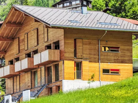 Roossi Apt. 1, Appartement 6 personnes à Wengen - Photo 21