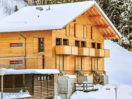 Roossi Apt. 1, Appartement 6 personnes à Wengen - Photo 27