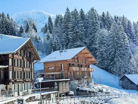 Roossi Apt. 1, Appartement 6 personnes à Wengen - Photo 28