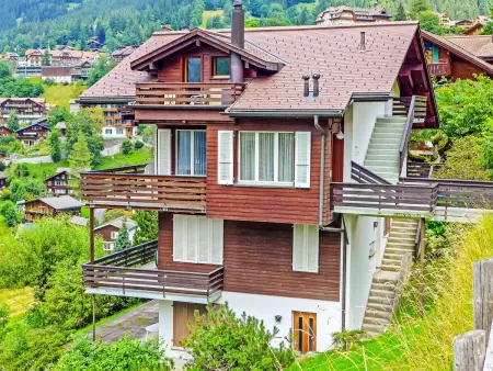 Melodie Apt.W, Appartement 4 personnes à Wengen - Photo 4