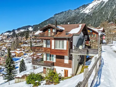 Melodie Apt.W, Appartement 4 personnes à Wengen - Photo 14