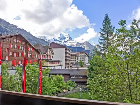 Residence Apt. 15, Appartement 4 personnes à Wengen - Photo 21