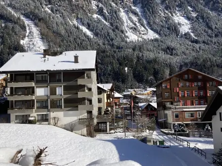 Residence Apt. 15, Appartement 4 personnes à Wengen - Photo 23