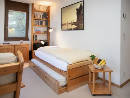 Primula Apt. B, Appartement 4 personnes à Wengen - Photo 13