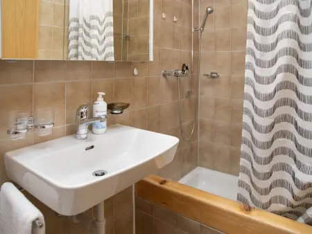 Primula Apt. B, Appartement 4 personnes à Wengen - Photo 15