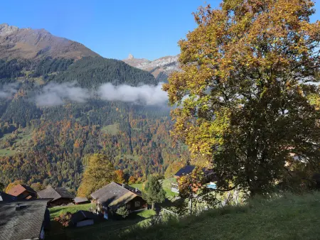 Primula Apt. B, Appartement 4 personnes à Wengen - Photo 17