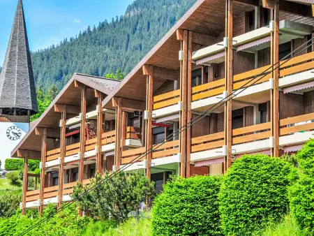 Primula Apt. B, Appartement 4 personnes à Wengen - Photo 21