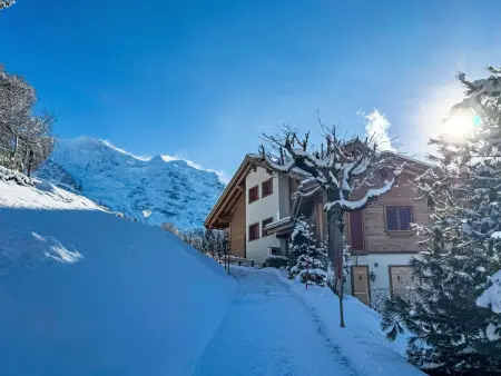 Silberhorn Apt. DW, Appartement 4 personnes à Wengen - Photo 20