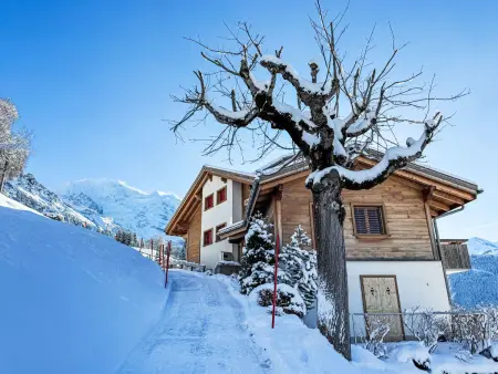 Silberhorn Apt. DW, Appartement 4 personnes à Wengen - Photo 21