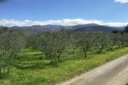 Monna Due, Demeure rustique à Pian di Scò - Photo 29