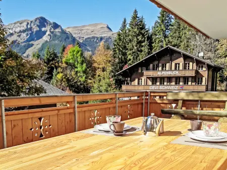 Bergfrieden Apt. 2, Appartement 4 personnes à Wengen - Photo 11