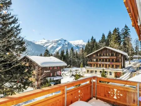 Bergfrieden Apt. 2, Appartement 4 personnes à Wengen - Photo 19