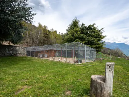 Renard, Chalet 4 personnes à Sarre - Photo 23