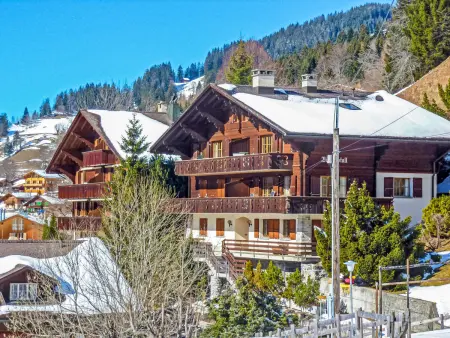 Bergkristall Apt. P, Appartement 4 personnes à Wengen - Photo 18