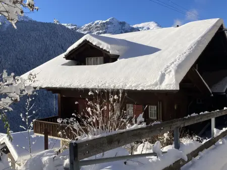 Bergkristall Apt. P, Appartement 4 personnes à Wengen - Photo 20