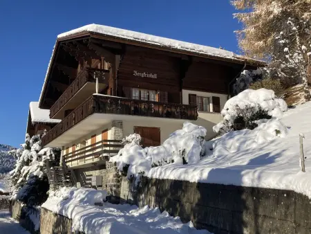 Bergkristall Apt. P, Appartement 4 personnes à Wengen - Photo 21