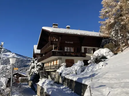 Bergkristall Apt. P, Appartement 4 personnes à Wengen - Photo 22