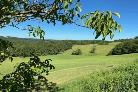 La Chaumière, Maison en Dordogne près de Lascaux - Photo 30