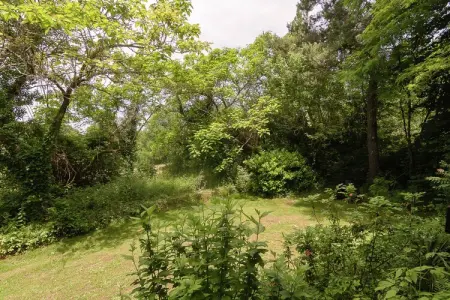 La Bergerie, Gîte dans la vallée Vézère près de Lascaux - Photo 9
