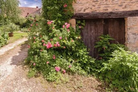 La Fermette, Maison de campagne en Dordogne près de Lascaux - Photo 35