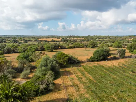 Morla, Maison 6 personnes à Porreres - Photo 28