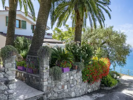 Villa Ginestra, Appartement 4 personnes à Ventimiglia - Photo 18