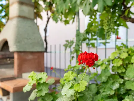Vjera, Appartement 7 personnes à Biograd na Moru - Photo 29