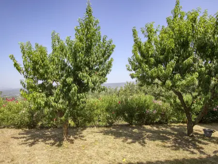 La Campagne, Maison 6 personnes à La Cadière d'Azur - Photo 21