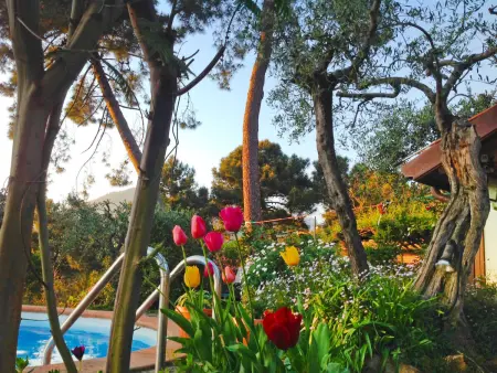 Villa Poggiobello, Maison 4 personnes à Forte dei Marmi - Photo 25
