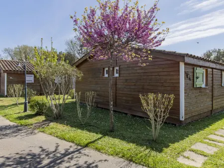 Domaine de Sévenier Chêne Vert, Maison 5 personnes à Vallon Pont d'Arc - Photo 21