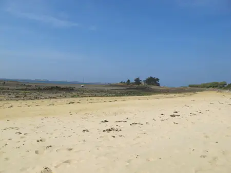 La Roseraie, Maison 4 personnes à Kerbors - Photo 32