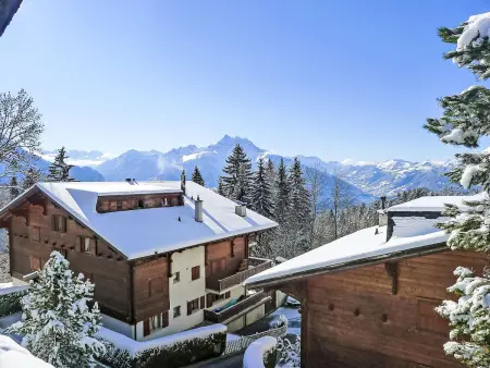 Les Bruyères 25, Chalet 4 personnes à Villars - Photo 16