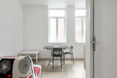 Apartamento en Lille, Appartement Proche Du Centre-ville De Lille - FR-59800-04 N°1049221