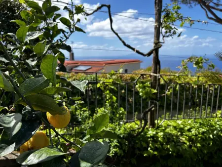 'O pignatiello, Maison 4 personnes à Massa Lubrense - Photo 27