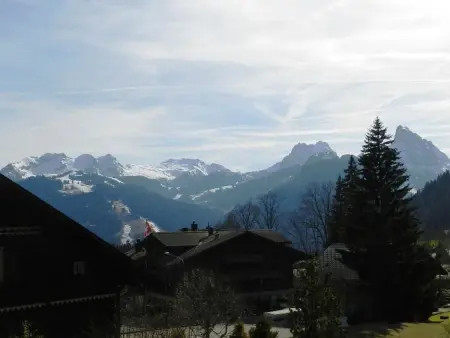 Suzanne Nr. 20, Appartement 5 personnes à Schönried - Photo 5