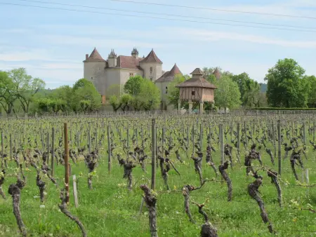 Le Champ du Lac, Maison 5 personnes à Cazals - Photo 14