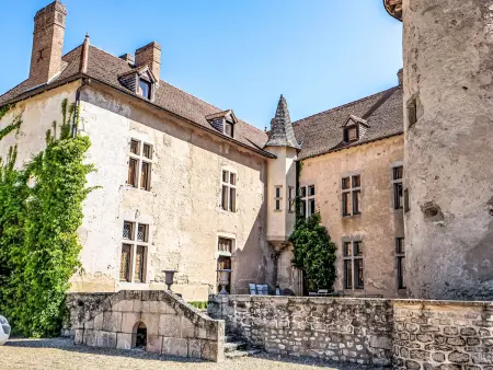 La Maison du Chateau, Maison 8 personnes à Etang sur Arroux - Photo 29