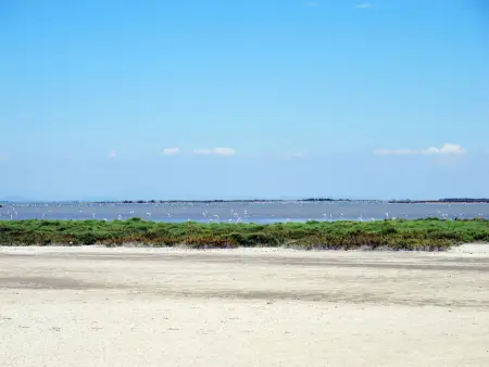 Les Maisons de la Plage, Maison 4 personnes à Le Grau du Roi - Photo 17