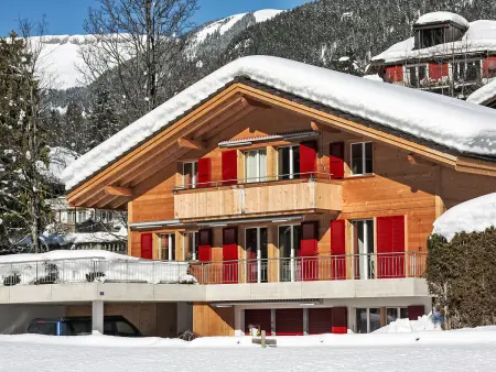 Chalet Almisgässli, Appartement 5 personnes à Grindelwald - Photo 22