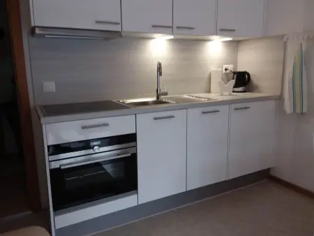 Anis Appartement/Fewo 2-Bettwohnung Nr. 12, Appartement 2 personnes à Saas Almagell - Photo 2