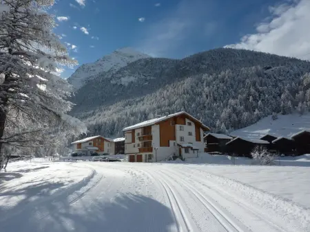 Arcadia, Appartement 2 personnes à Saas Grund - Photo 5